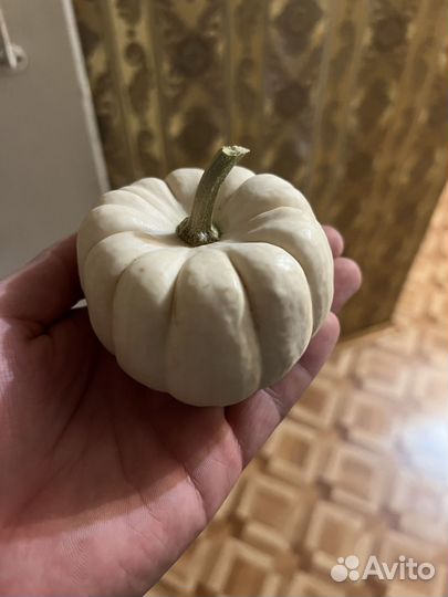 Мини Тыква
