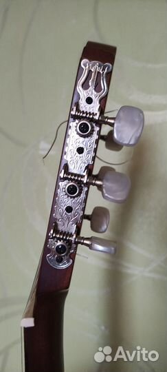 Акустическая гитара Prima