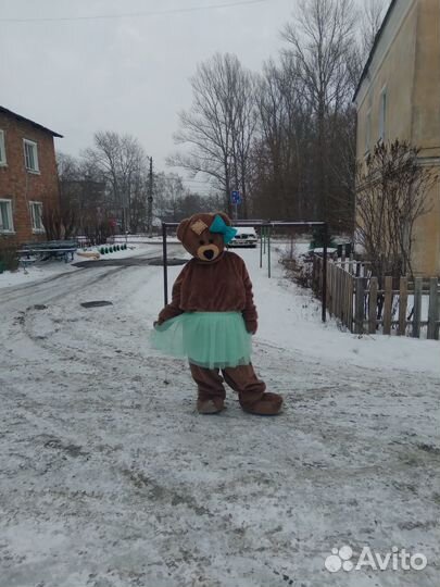 Аниматор на праздник, ведущая, ростовой медведь