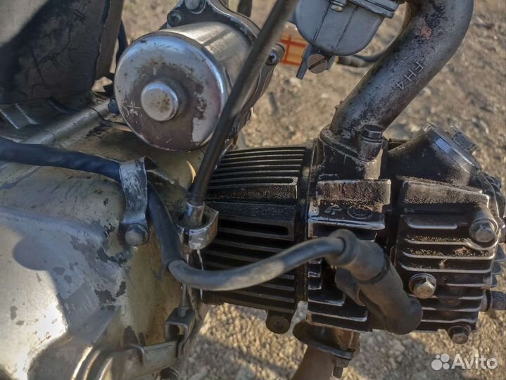 Racer Alpha 72cc
