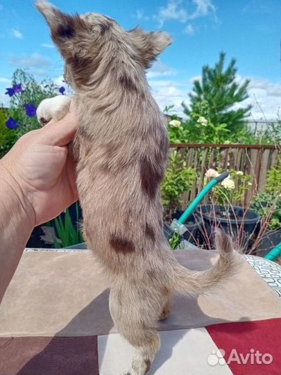 Мраморная девочка