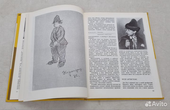 Над чем смеется клоун Румянцев Михаил Николаевич