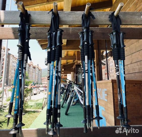 Аренда треккинговых палок для горного похода