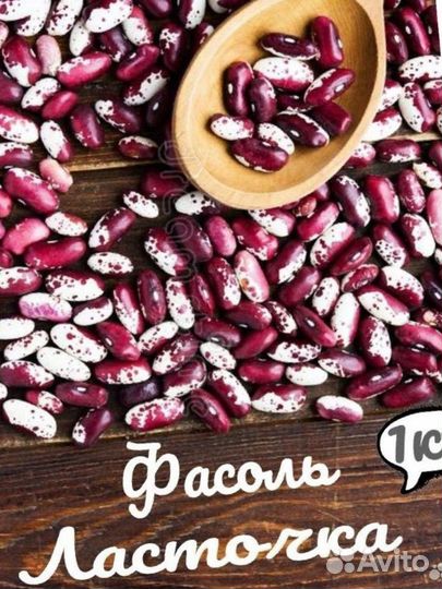 Фасоль оптом