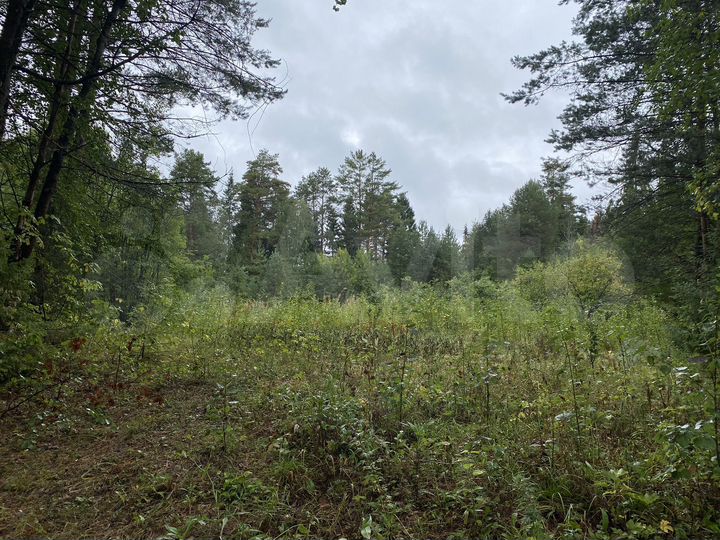 Участок 6 сот. (ИЖС)