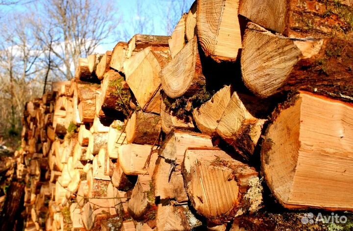 Дрова из леса