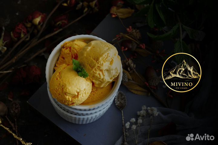 Франшиза крафтового мороженого 