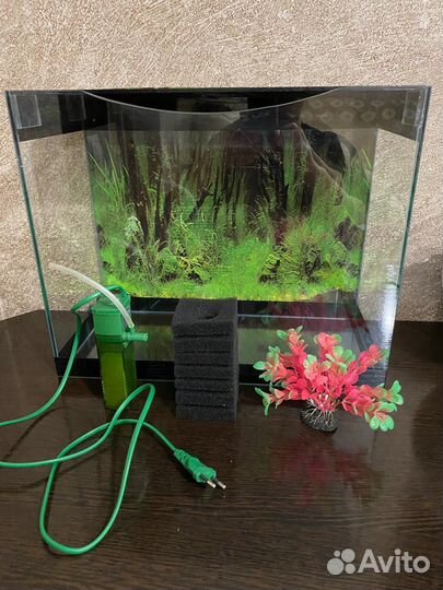 Аквариум