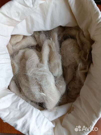 Продам шерсть овечью