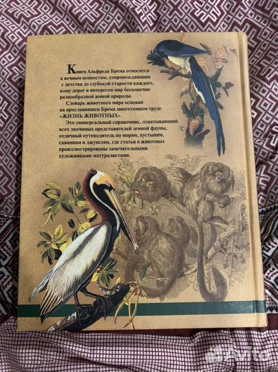 Энциклопедия жизнь животных