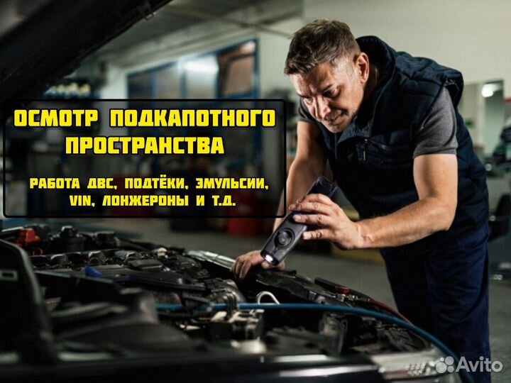 Автоподбор подбор авто диагностика проверка авто