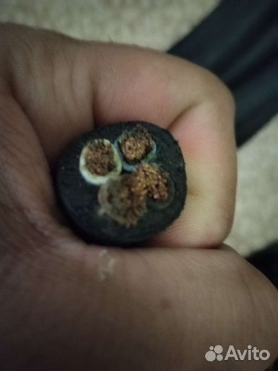 Сетевой кабель