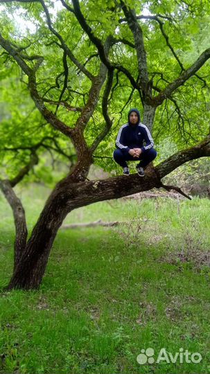 Водитель bcdе