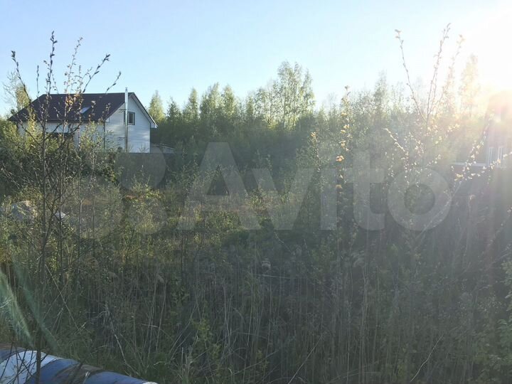 Участок 8 сот. (СНТ, ДНП)