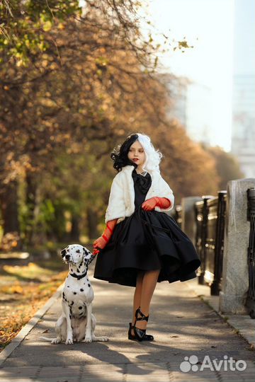 Аренда Далматина