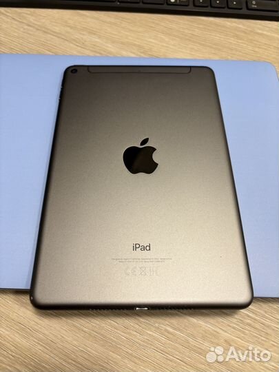 iPad mini 5 256gb cellular