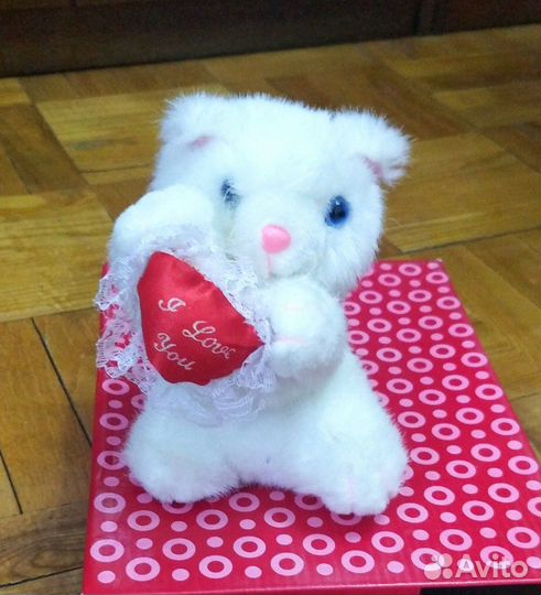 Кот с сердечком