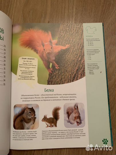 Детская энциклопедия махаон