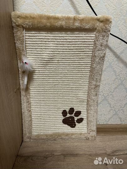 Когтеточка