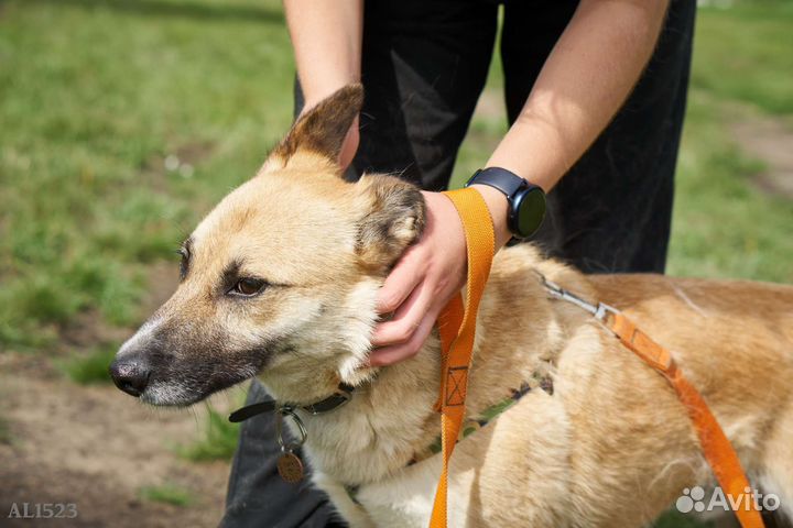 Малыш Пич искренне хочет домой