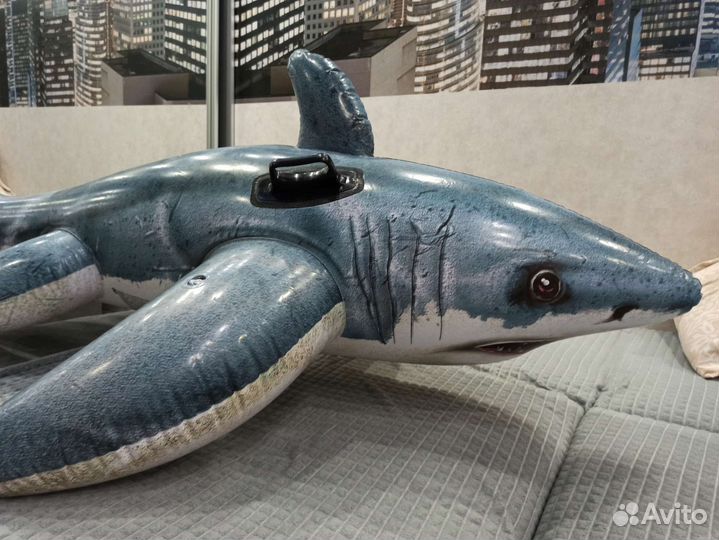 Надувная акула