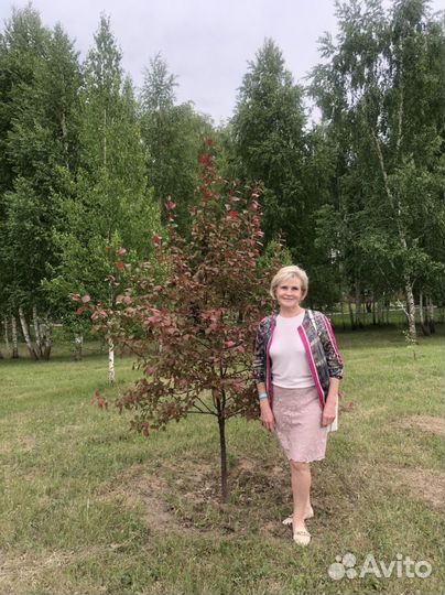 Авто няня