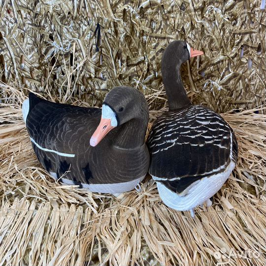 Чучело North Way soft plast плавающий FBS-3D 6шт