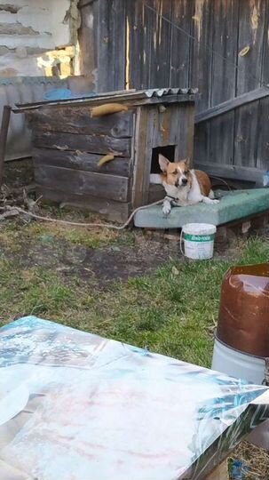 Дом 37 м² на участке 9 сот.