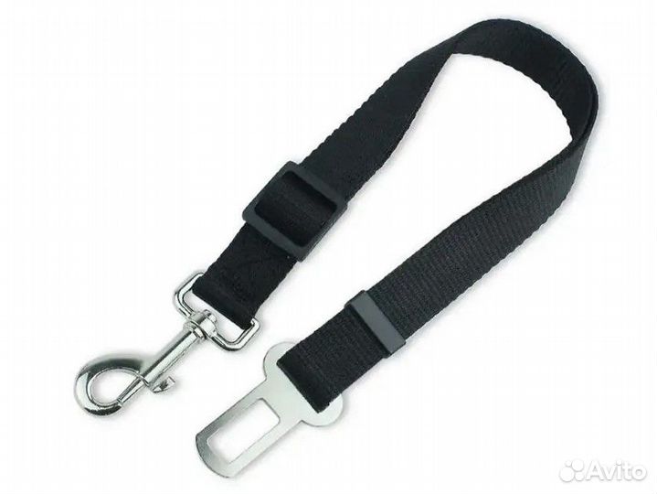 Аксессуары для собак