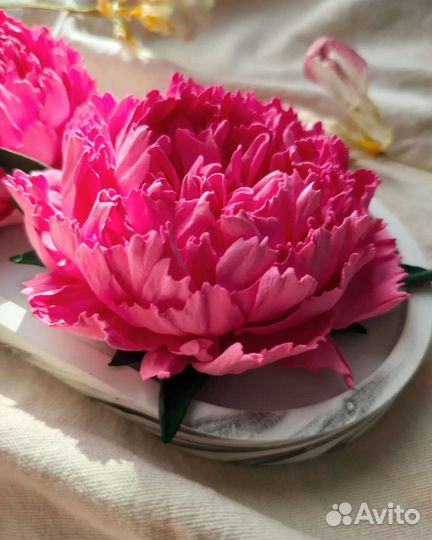 Пионы (резинки /зажимы)