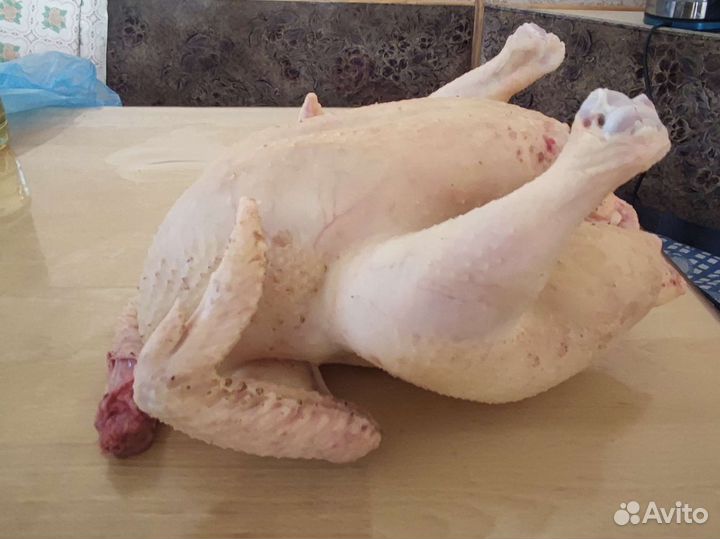 Куры бройлеры мясо