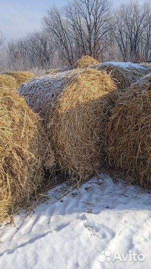 Солома в рулонах