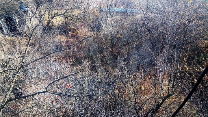 Участок 6 сот. (ИЖС)