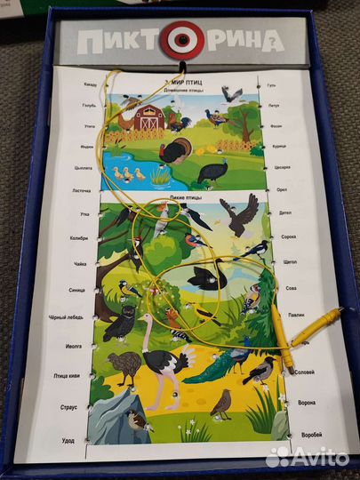 Пикторина, пиктограмма, электровикторина