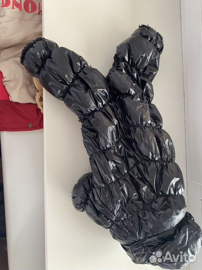 Одежда для собак