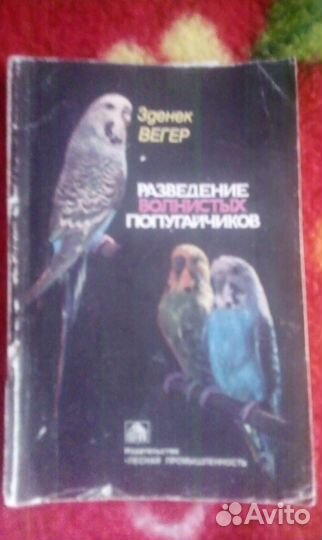 Книга Разведение попугайчиков