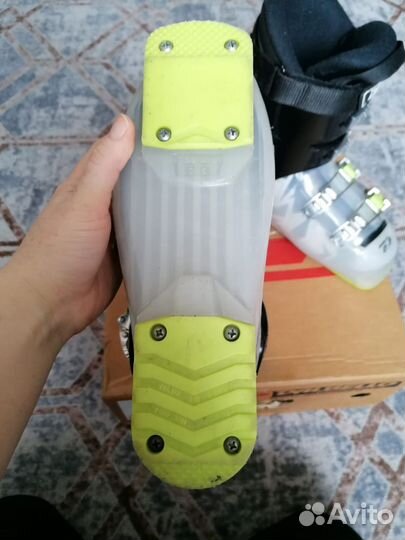 Горнолыжные ботинки dalbello