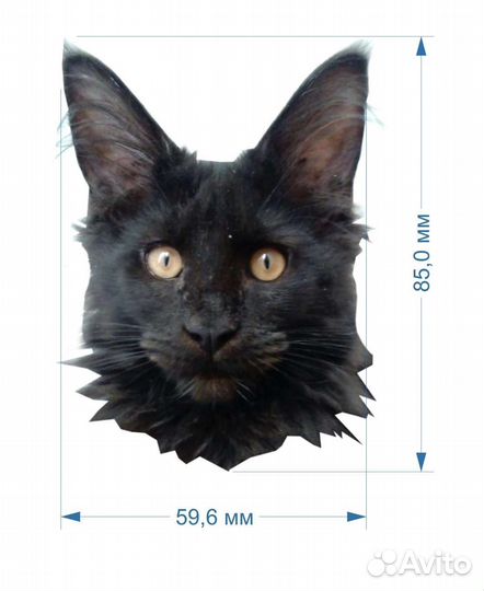 Брошь портрет кошки мейн-кун на заказ