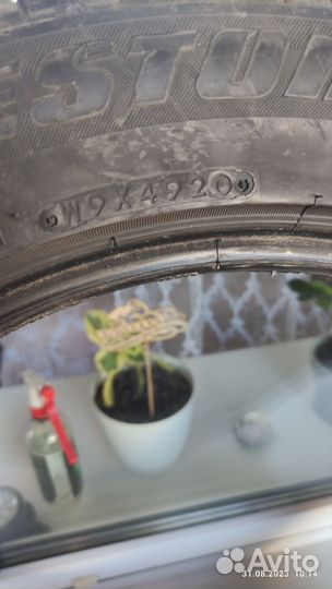 Bridgestone Blizzak Revo GZ 21.5/55 R17