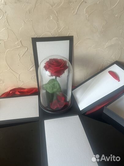 Вечная роза в колбе