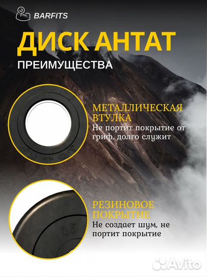 Диск Антат обрезиненный 51 мм 1,25 кг, черный