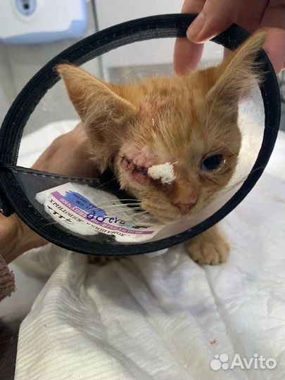 Машенька без глазика