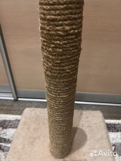 Переноска, лежанка, когтеточка для кошки