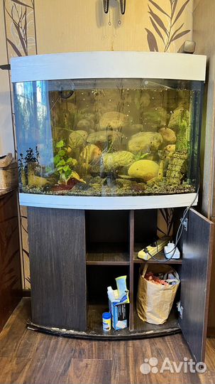 Аквариум с тумбой 200 литров