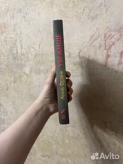 Дневник анны франк убежище