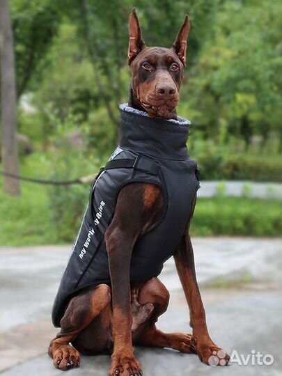 Зимняя попона на синтепоне для собак