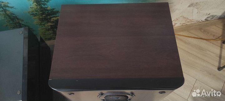 Акустические колонки diatone DS-1000ZX