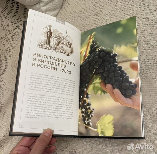 Винный гид России 2025