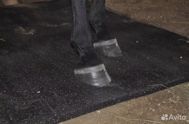 Пол в конюшне 