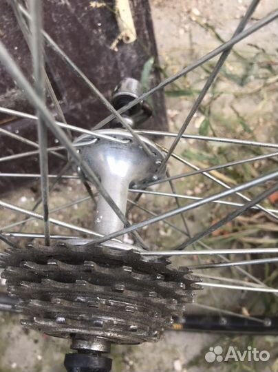 Campagnolo record pista